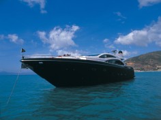 Predator 84图集