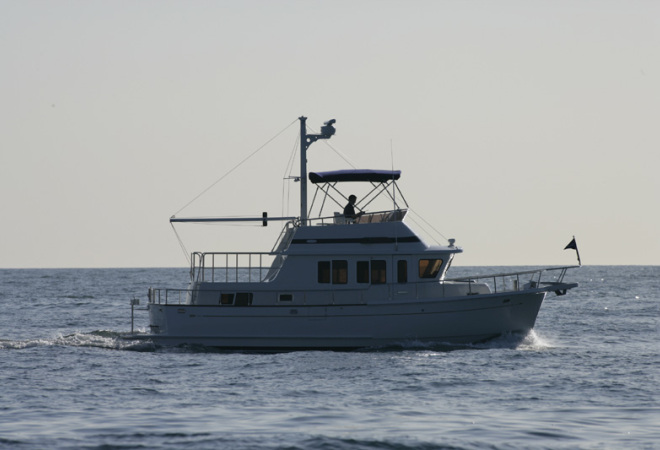 Selene 38